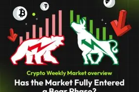 Bitunix An illustration shows a red bear with downward arrows and falling bars, and a green bull with upward arrows and rising bars, offering a market overview of bearish and bullish crypto trends. Text reads: Has the Market Fully Entered a Bear Phase?.