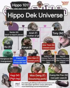 Bitunix A diagram showing hippos with names, nicknames, and roles, like Rambo (M) and Jonah (F) mother of all. With colorful boxes and photos, it highlights each hippo’s traits—perfect for a fun twist on your Weekly Market Overview.