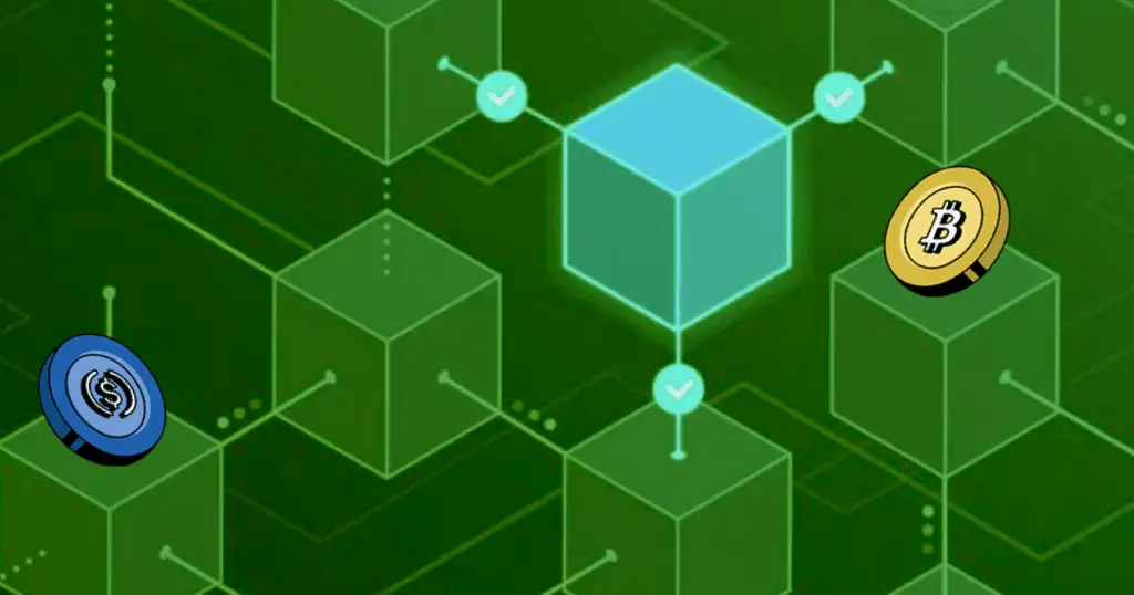 Diagram explaining blockchain vs protocol in crypto