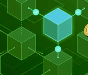 Diagram explaining blockchain vs protocol in crypto