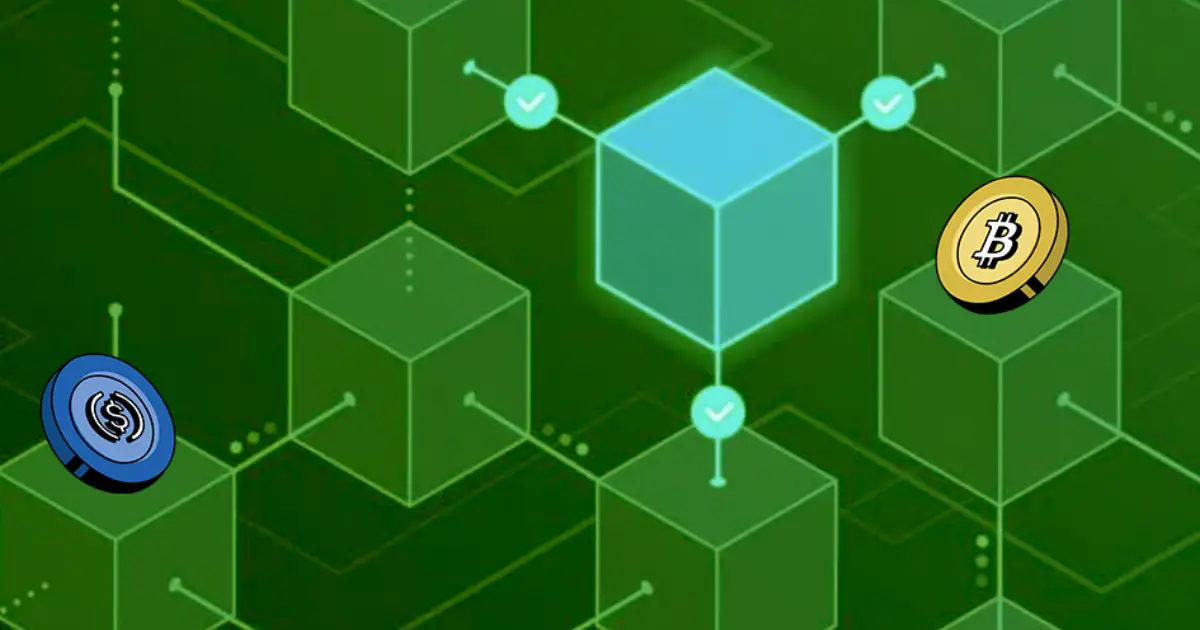 Blockchain vs Protocol – Key Crypto Concepts Explained | Bitunix Diagram explaining blockchain vs protocol in crypto