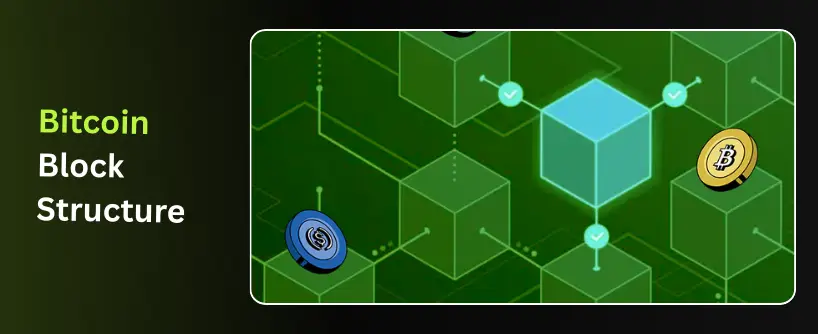 Bitunix A digital graphic showing interconnected glowing cubes representing blockchain technology, with Bitcoin and cryptocurrency symbols; the text reads Bitcoin Block Structure on a black and green gradient background. | Bitunix Bitunix A digital graphic showing interconnected glowing cubes representing blockchain technology, with Bitcoin and cryptocurrency symbols; the text reads Bitcoin Block Structure on a black and green gradient background.
