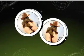 PNUT token displayed on a futuristic green and black grid-themed background.