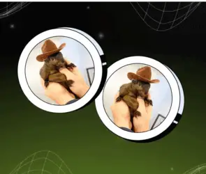 PNUT token displayed on a futuristic green and black grid-themed background.