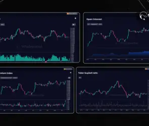 Whaleportal trading dashboard interface showing key crypto metrics including funding rates, open interest, premium index, and taker buy/sell ratio.