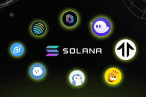 Solana ecosystem projects surrounding the Solana logo, including top DeFi apps, NFT platforms, and meme coins active in 2025.
